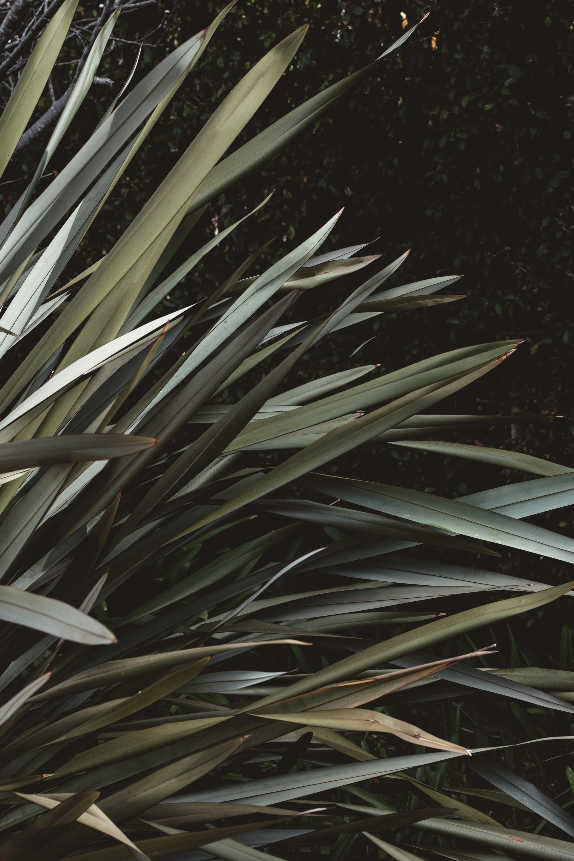 COURAGE TO CHANGE | BONNIE GARMUS