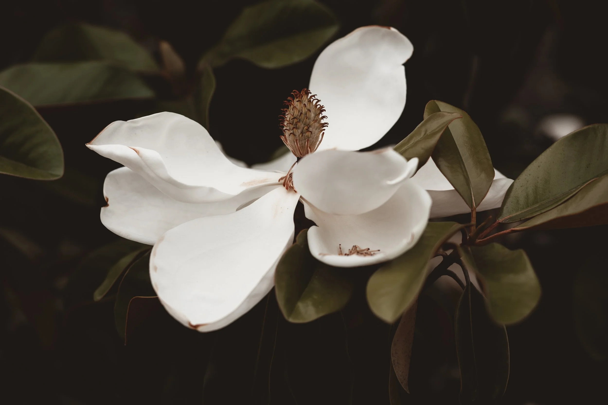 SEASONS | SUE HUBBELL