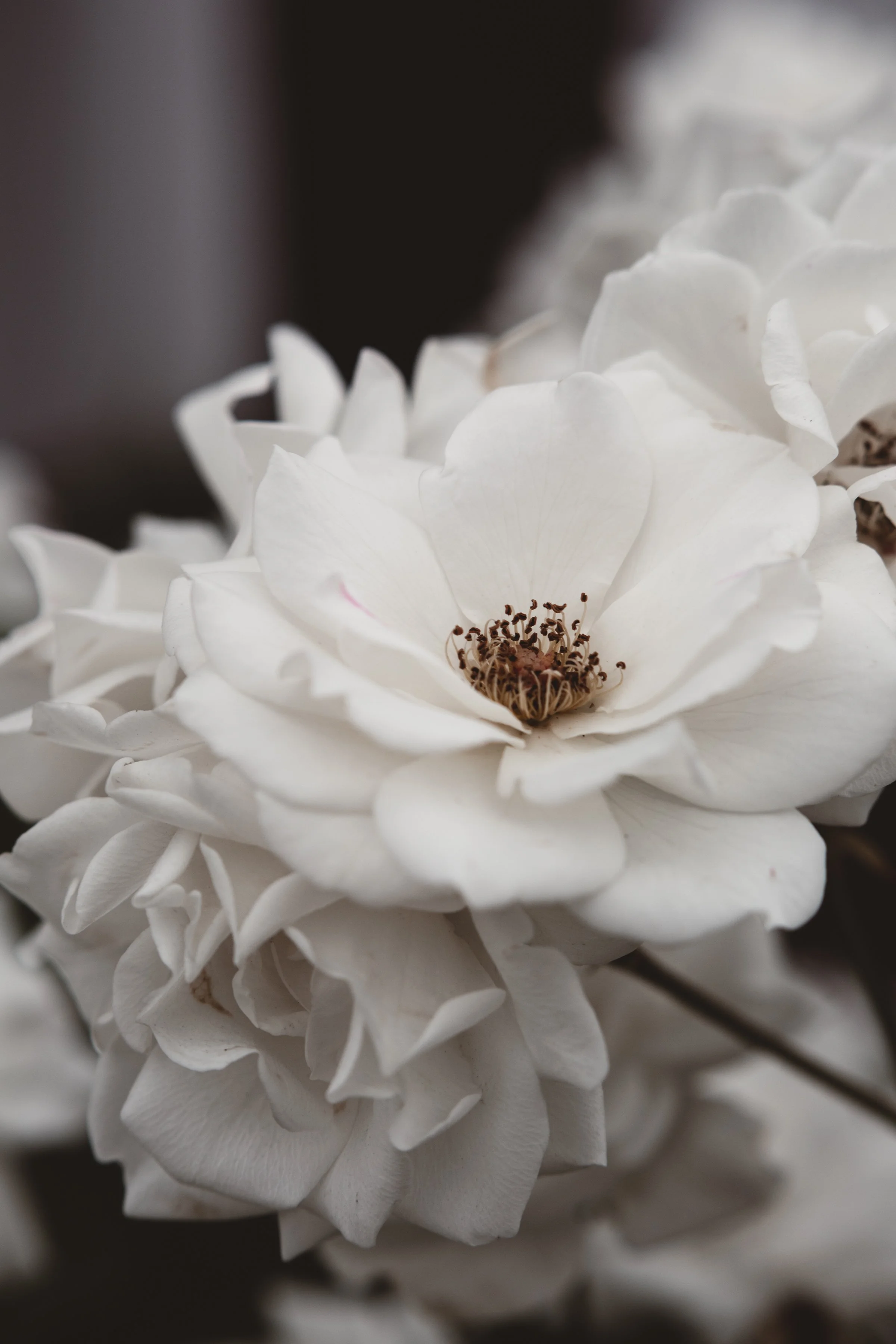 RELATIONSHIPS | MARILYNNE ROBINSON