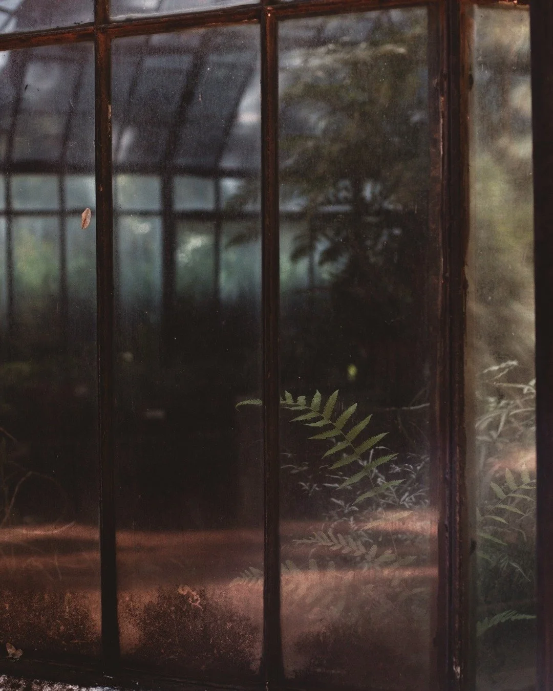 Jard&iacute;n Bot&aacute;nico Carlos Thays
The botanical gardens serve as a stunning natural oasis in the city center, home to over 6,000 trees and plant species. They display a curated collection organized by themes like French, Asian, and Roman sty