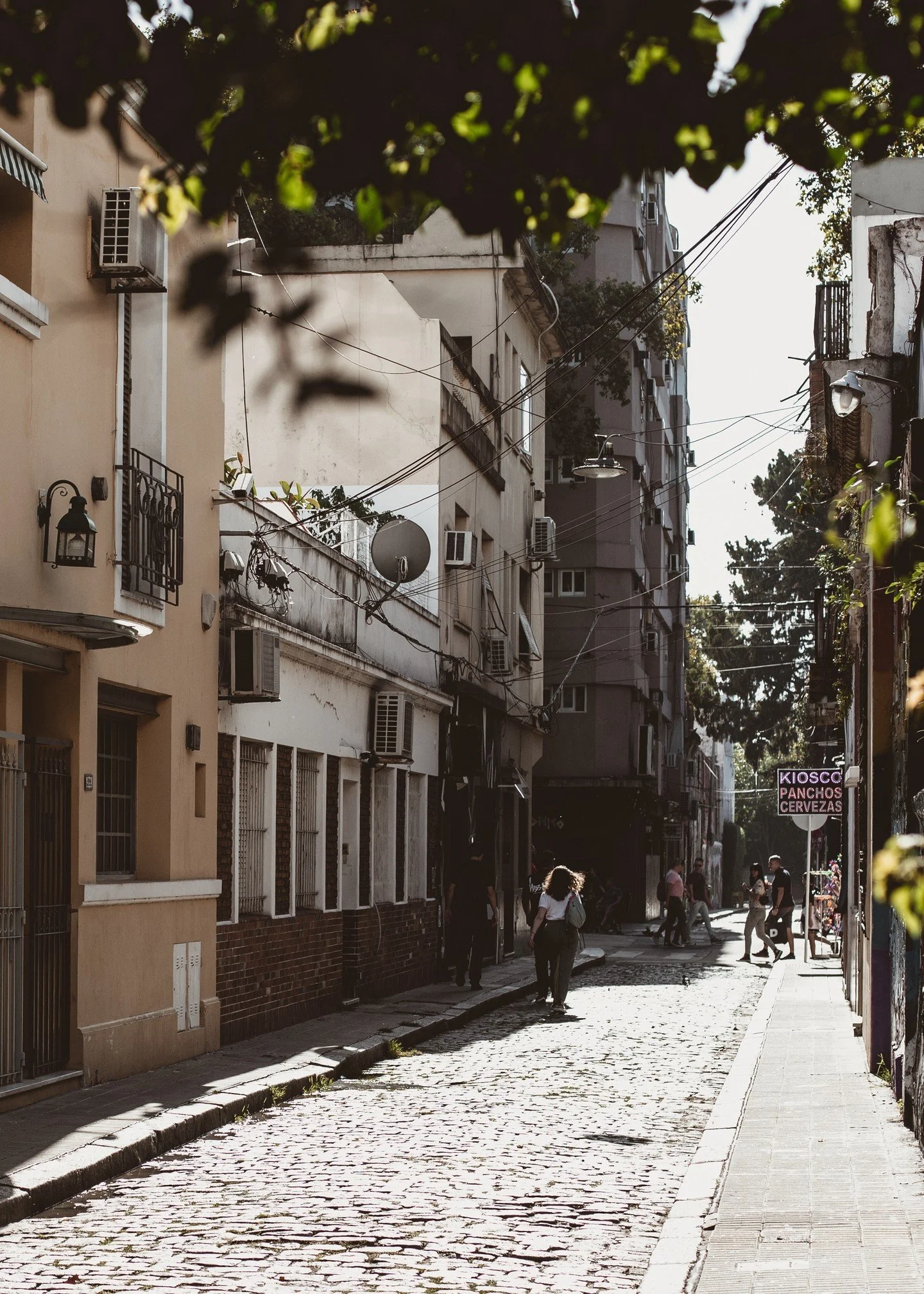 EL BARRO DE PALERMO
Palermo, the largest neighborhood in Buenos Aires, is the city's trendy district, featuring numerous large parks and gardens. Notable green spaces include Tres de Febrero Park, the Botanical Gardens, the rose garden, and the Japan