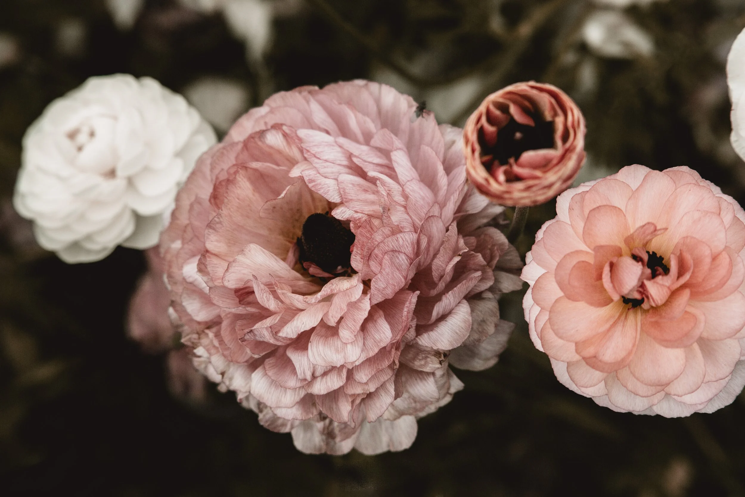 FRIENDSHIP | DAVID GRAYSON