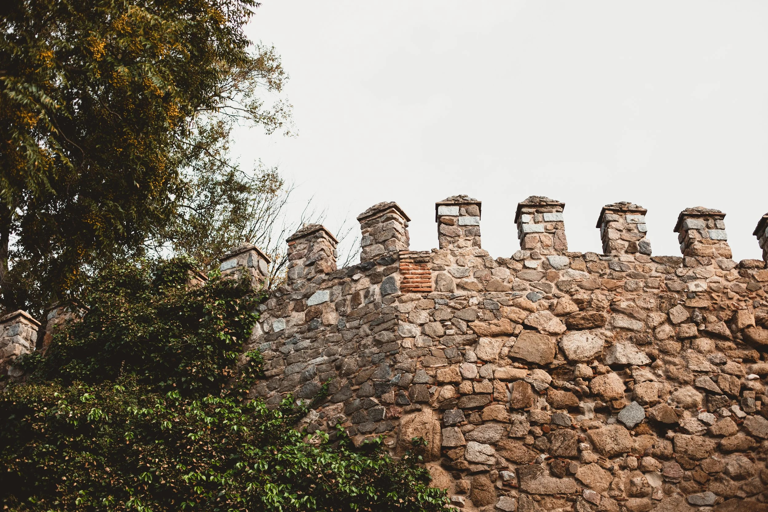 A BETTER WORLD | FRANCIS HODGSON BURNETT