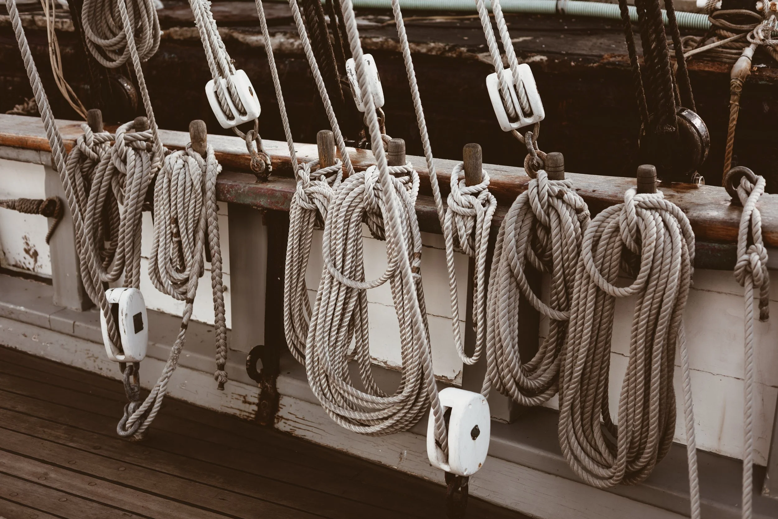 INCLUSIONS AND OMISSIONS | DAVID GRANN