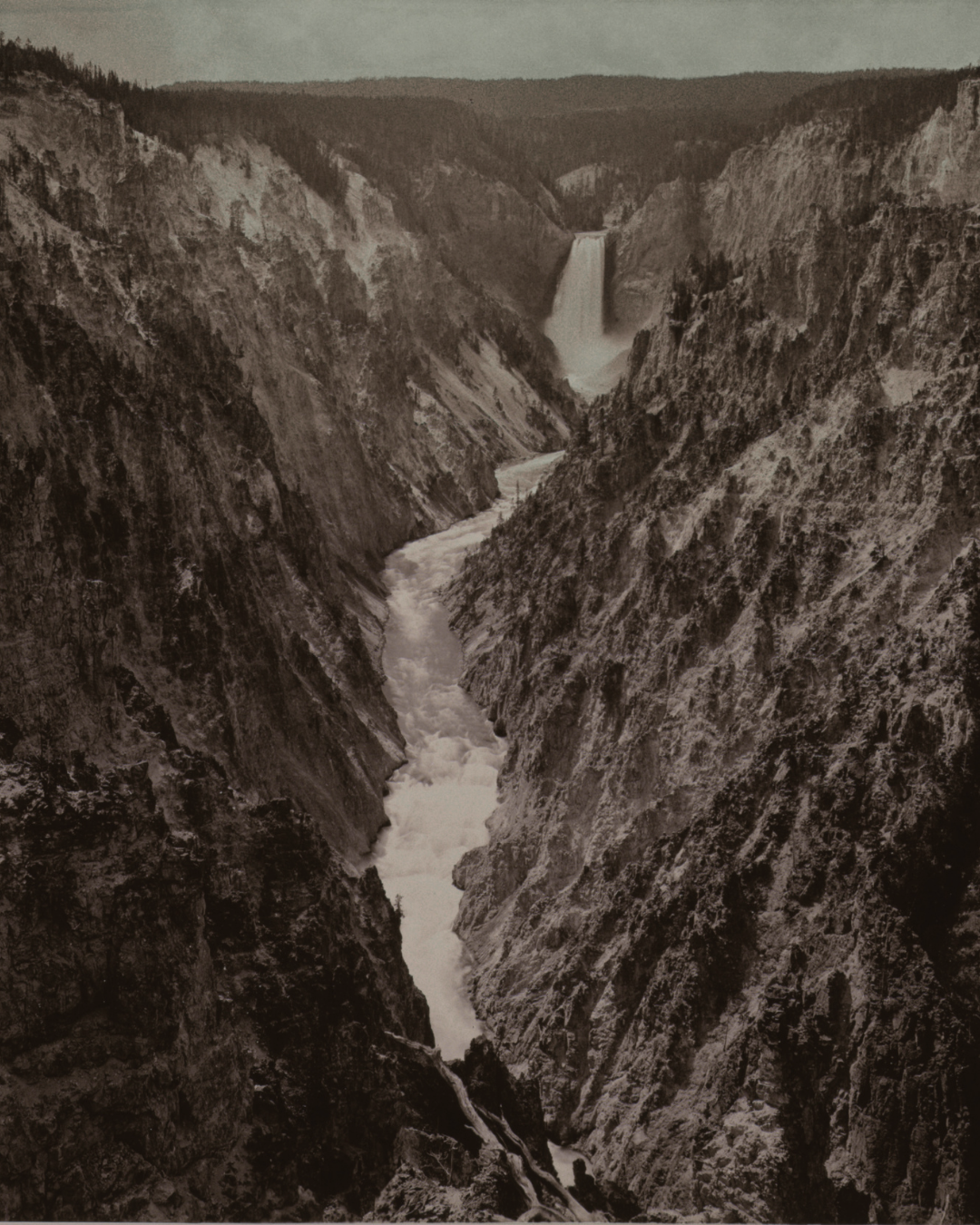 Wilderness | Further Reading