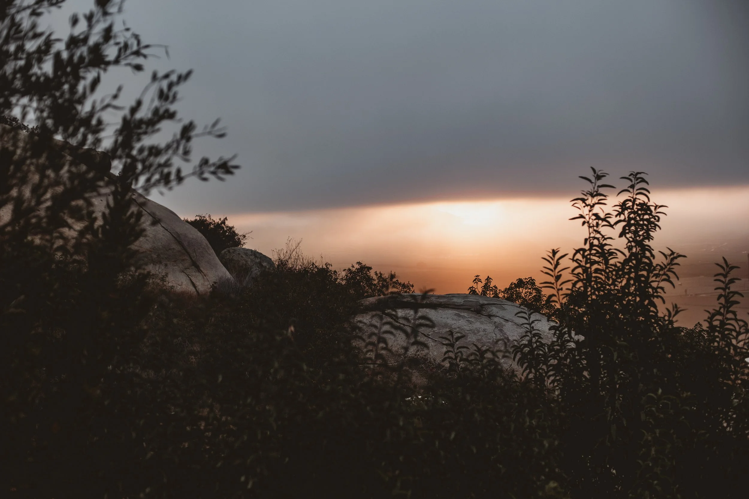 Sunrise under thick fog with boulders and shrubs in the foreground at Mira Earth Studios