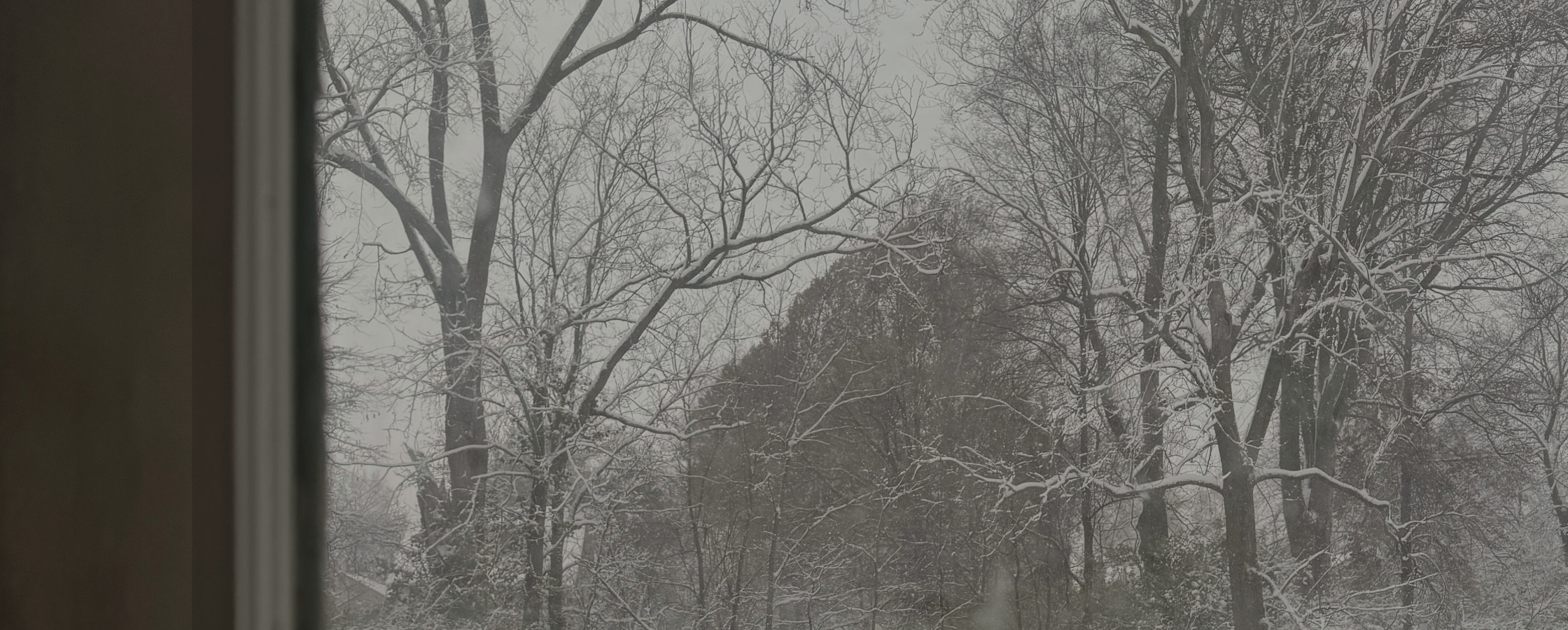Looking out a window at bare tree branches covered in snow