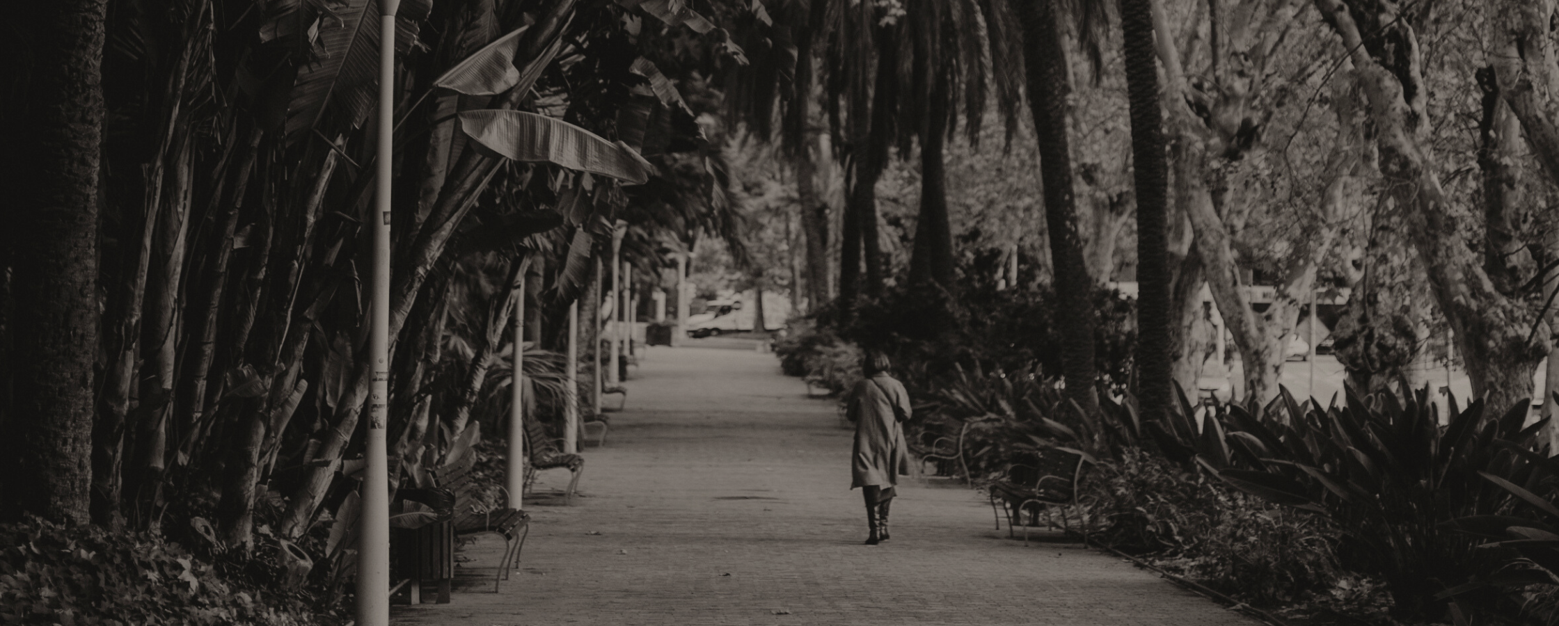 Woman walking alone in a quiet park