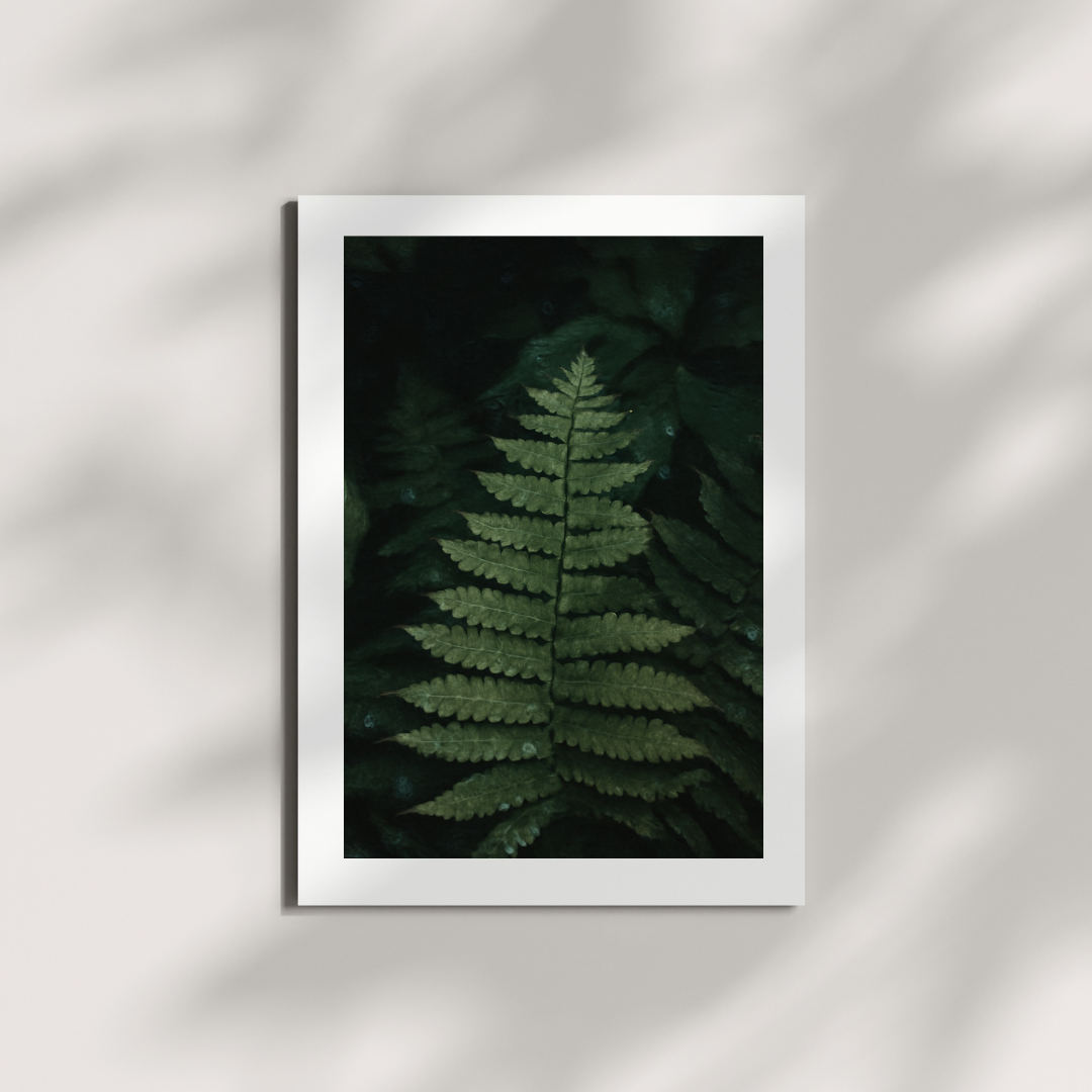 Fern No. 302