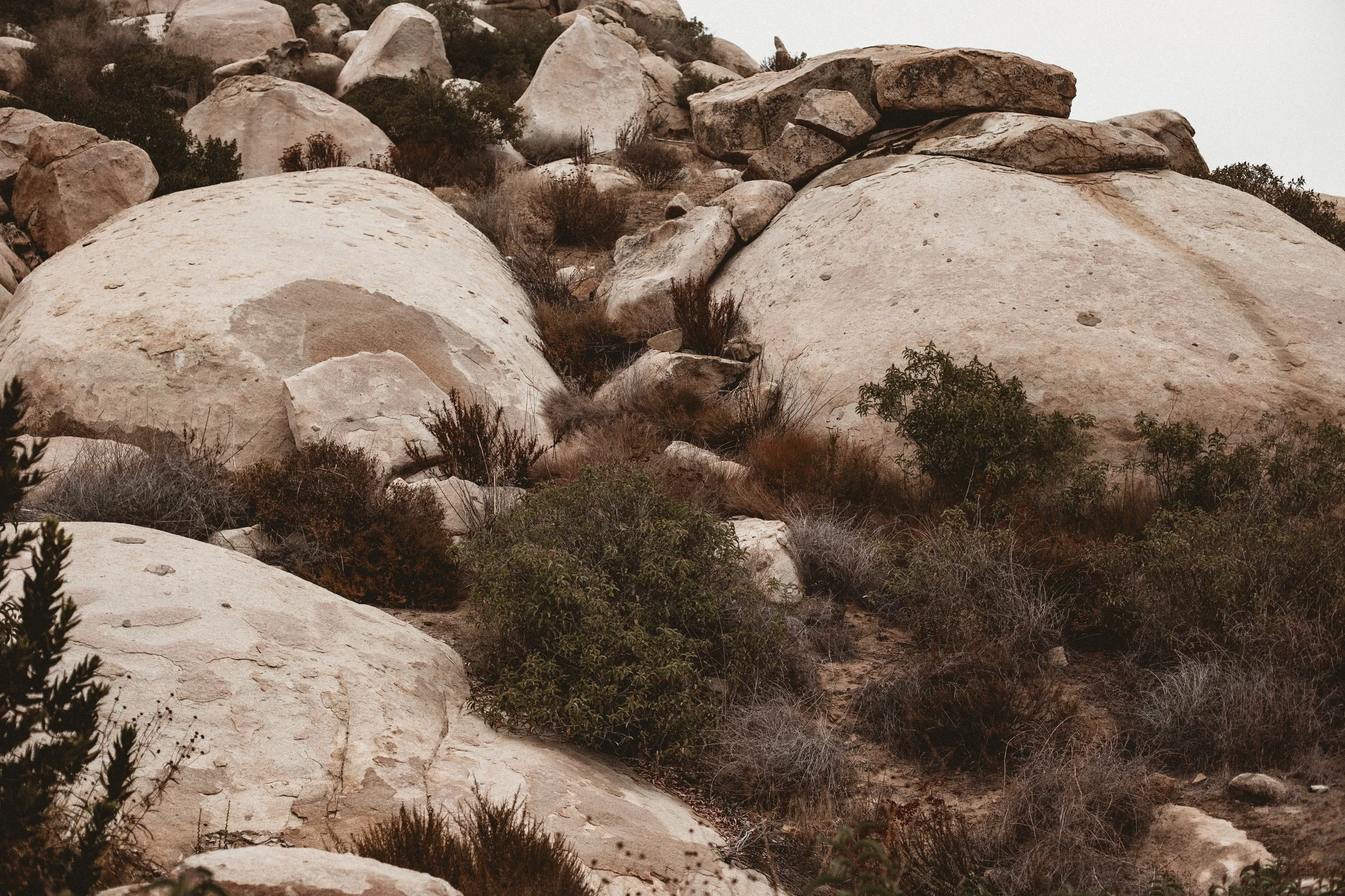 Hillside of rocks, boulders and sparse green shrubbery