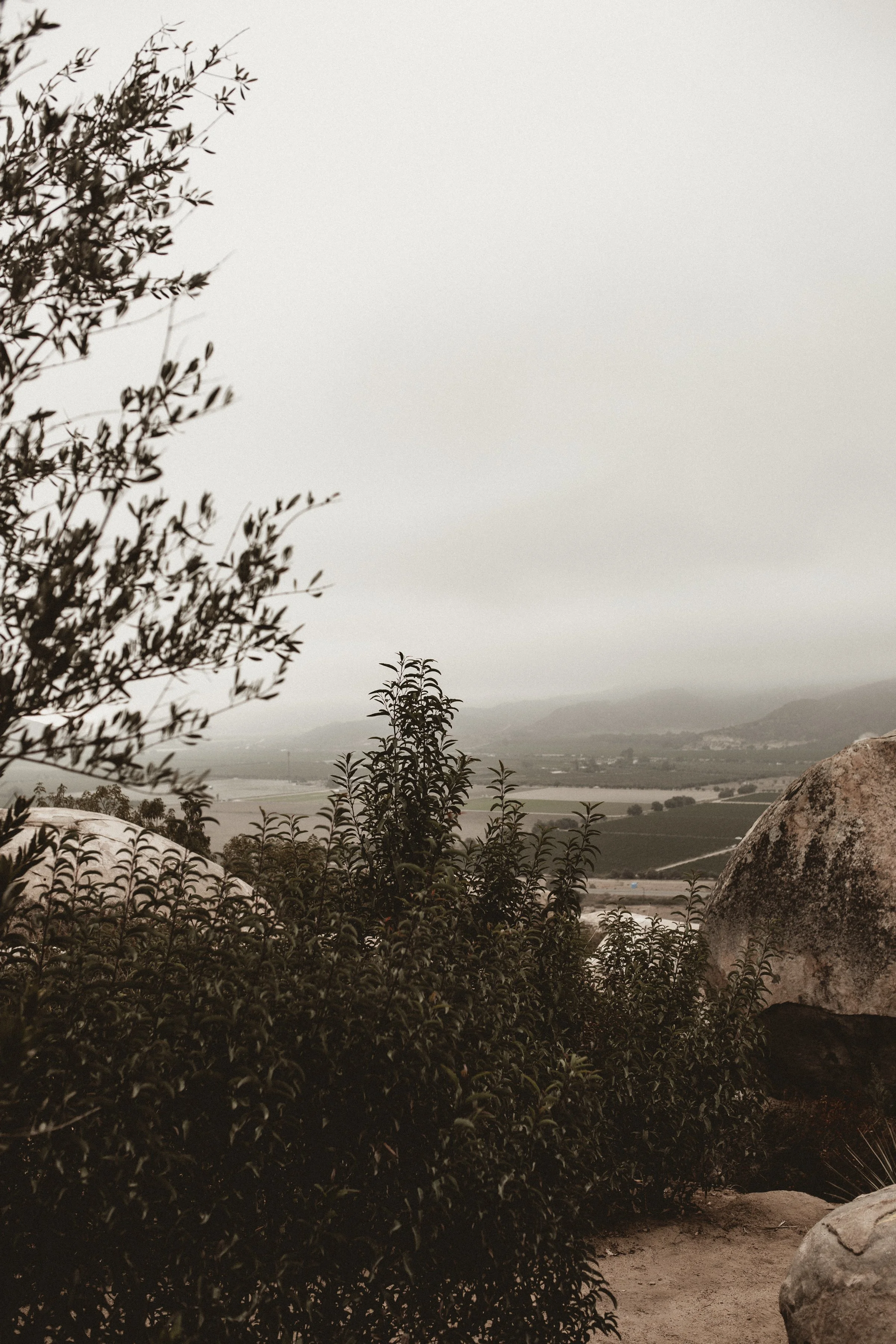 Boulders and trees in foreground with green cultivate valley below under heavy fog
