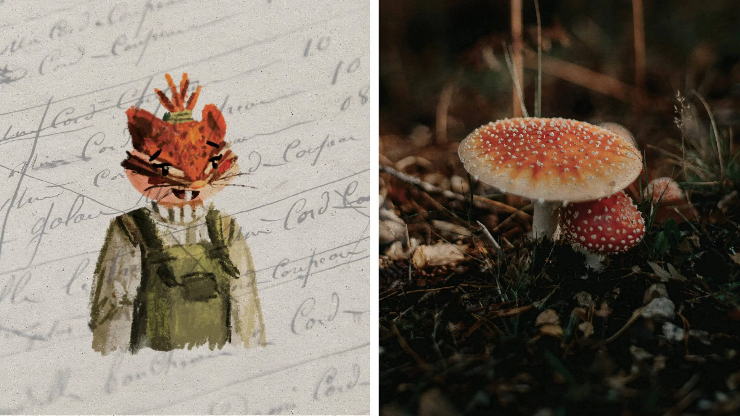 The Midnight Post Case Study11.jpg