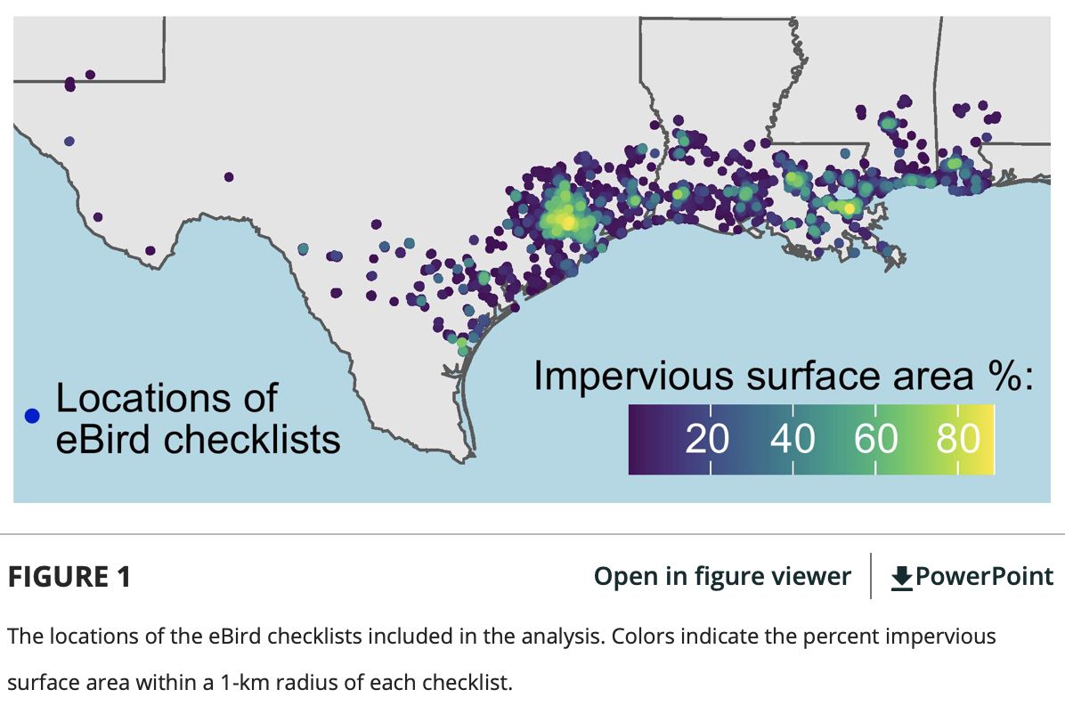 Carrie Ann leads new paper using eBird data to understand impacts of urbanization on migrant phenology