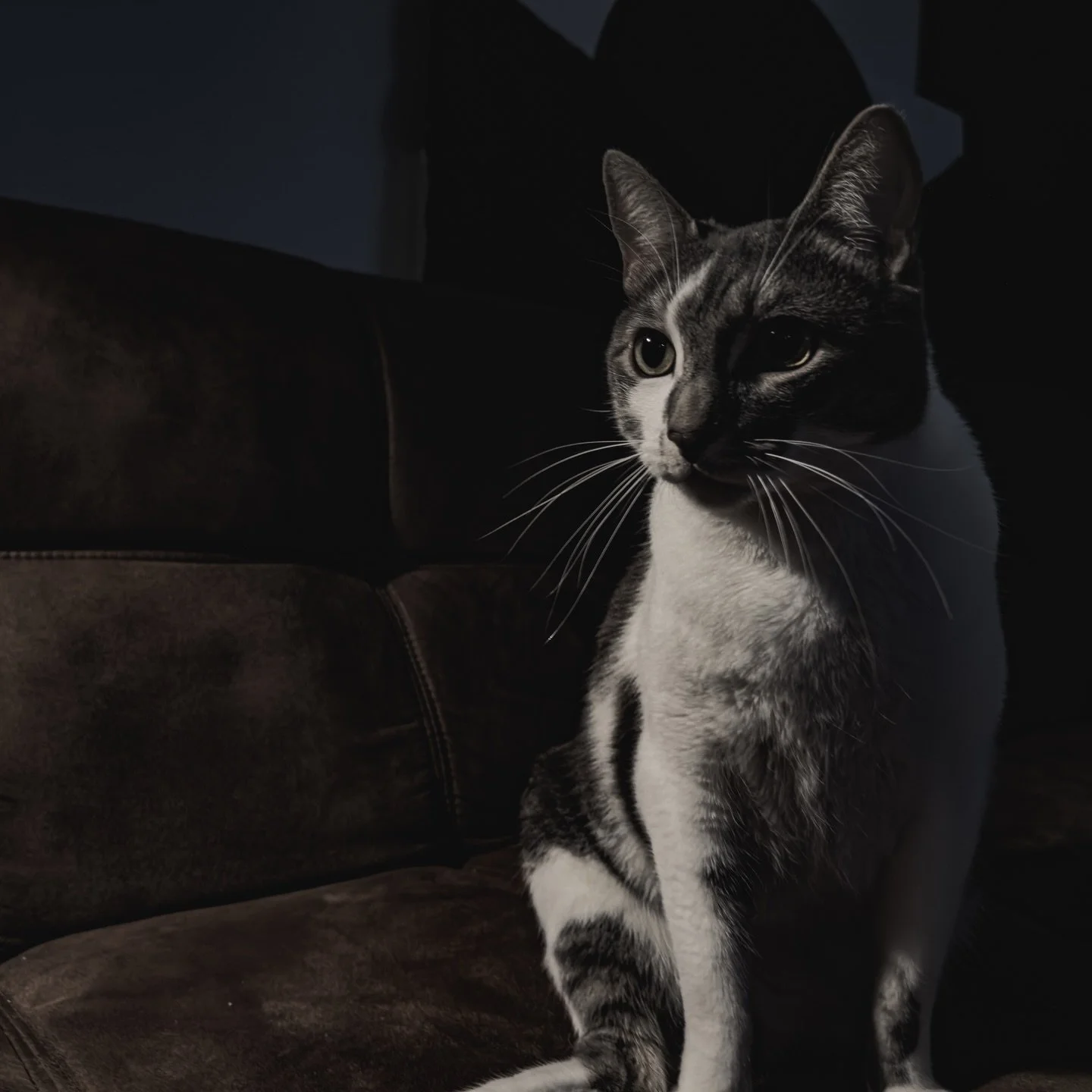 It&rsquo;s the captain. #captainoliverkidd