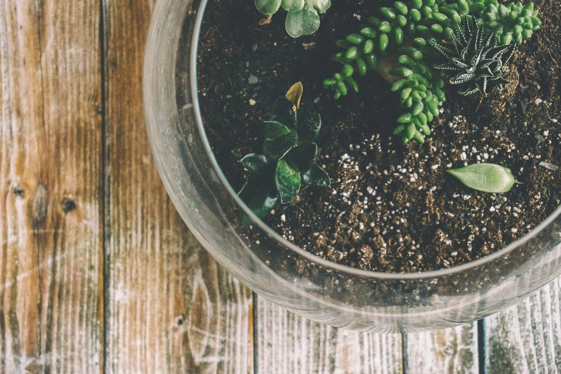 pexels-photo-185496.jpg