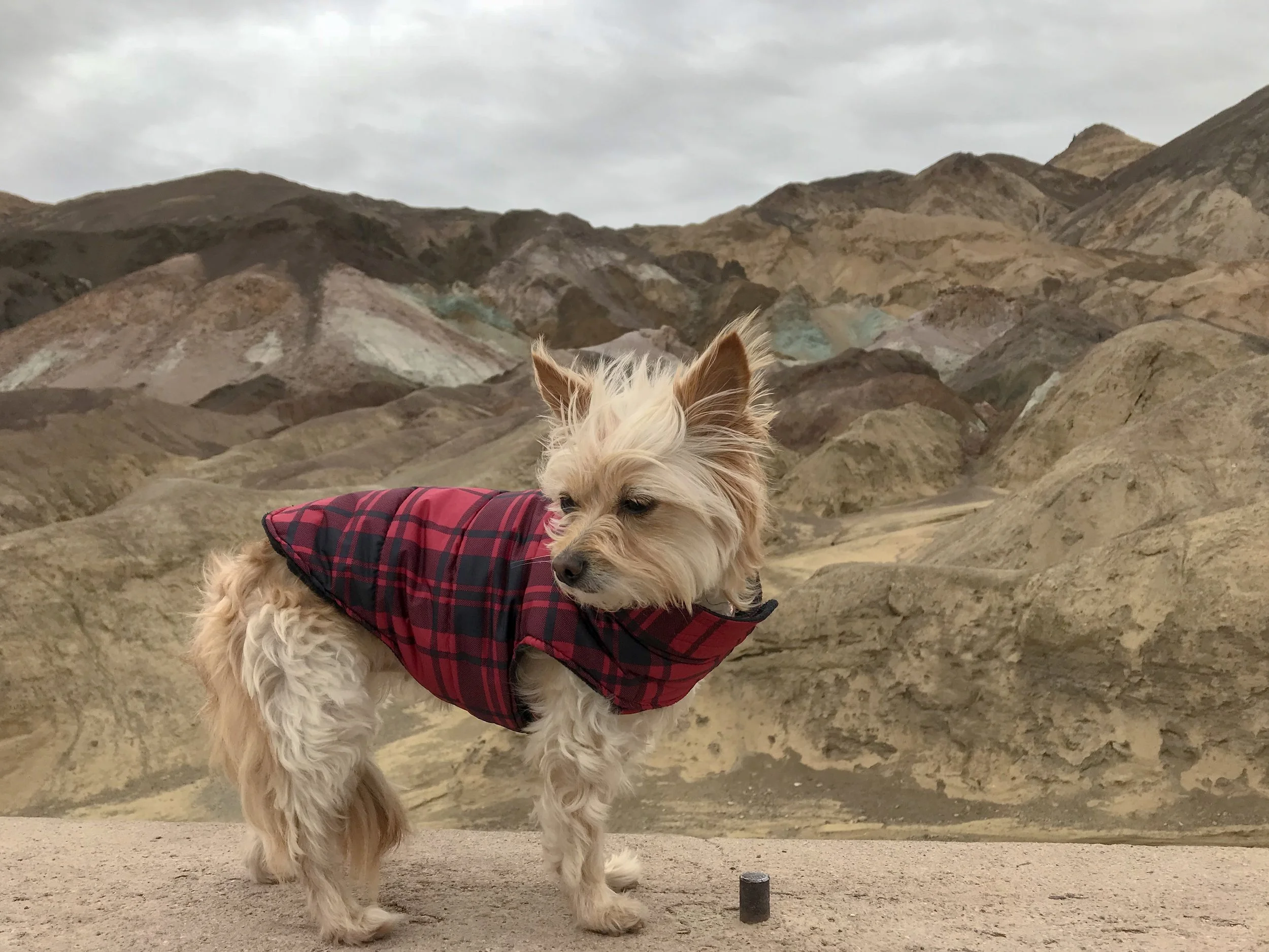 A Day in Death Valley: Artist's Palette