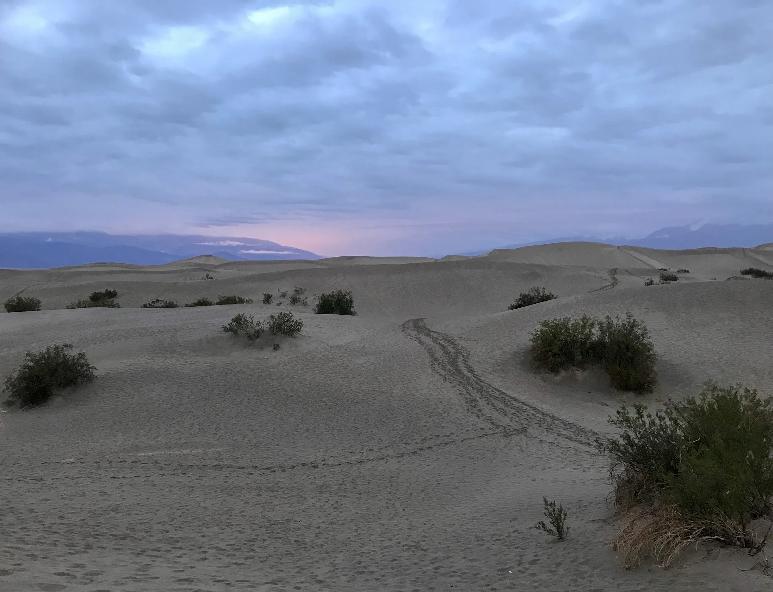 Sunset glow over the Mesquite Flat Sand Dunes in Winter. Death Valley, CA. Photo By: Nichole McDaniel