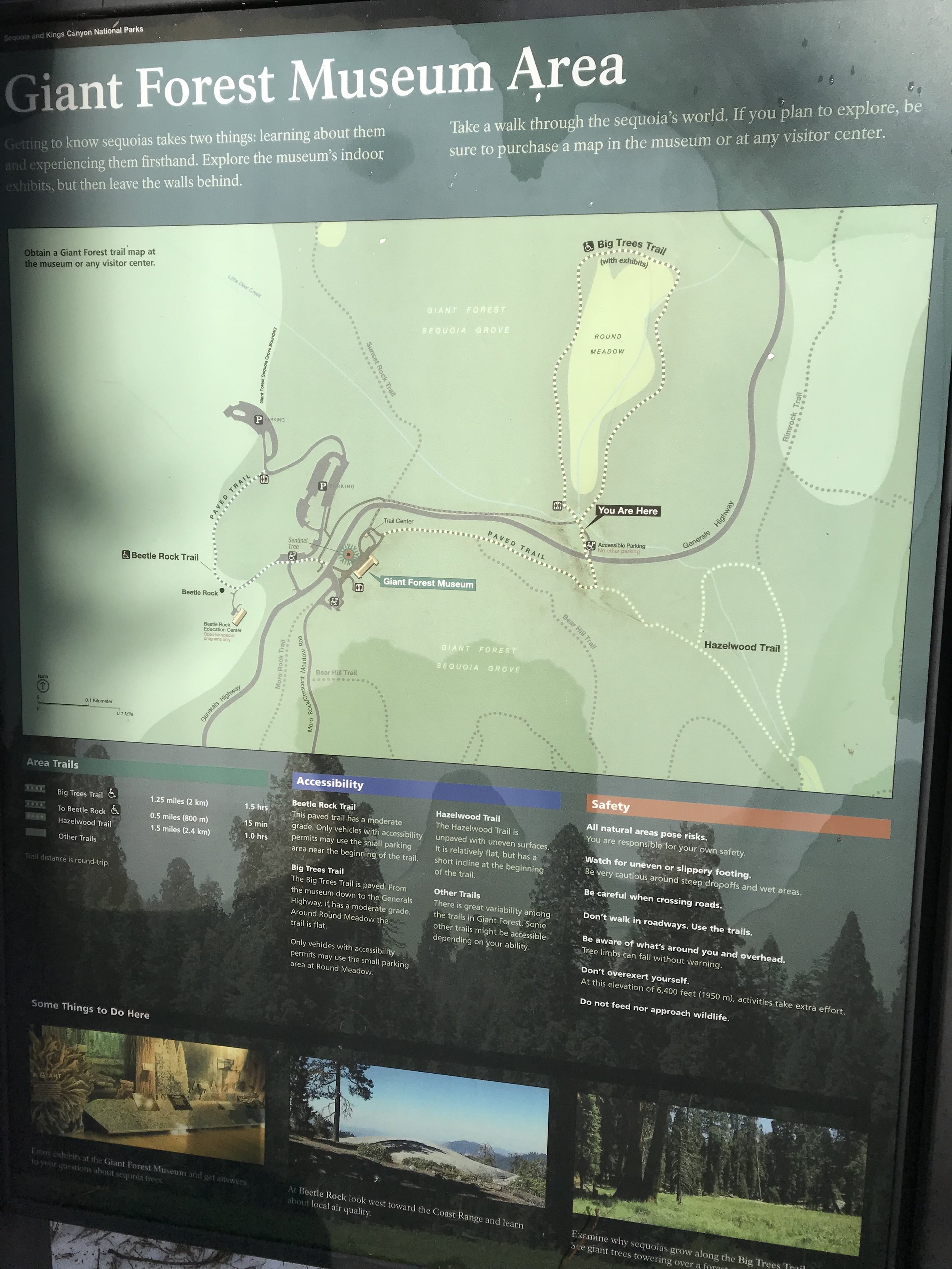 Giant Forest Museum Area Map