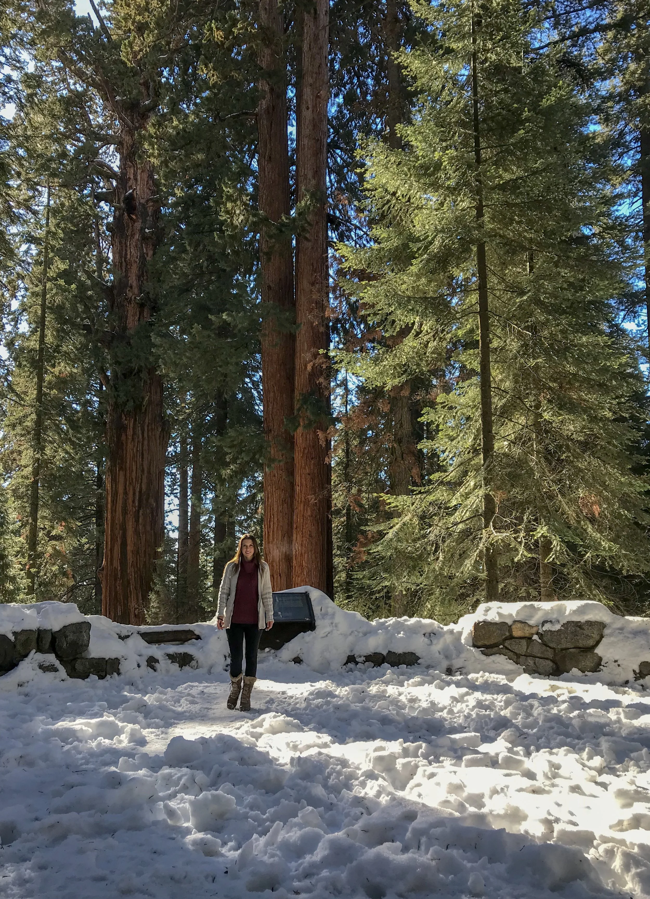 Sequoia National Forest and General Sherman