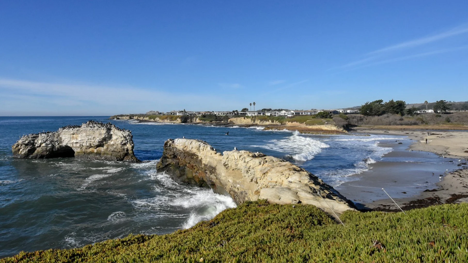 Santa Cruz and The Mystery Spot