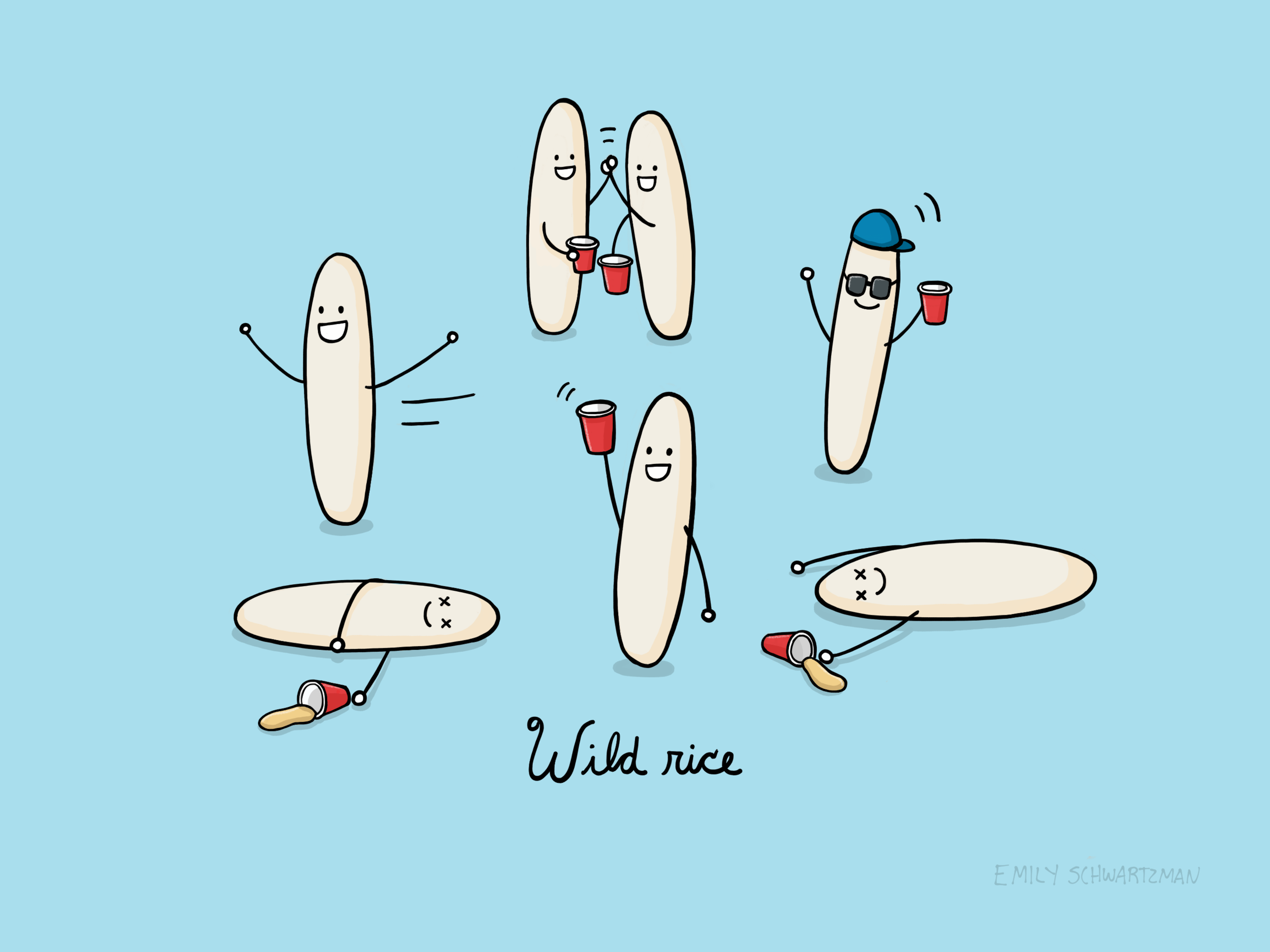wild-rice.png