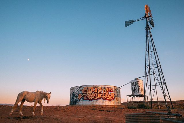 Crossing into Diné Mafia turf, somewhere in Arizona. We spoke with Dennis that day. He used to be a bull rider, saw it in a dream. There were rock houses where he grew up, abandoned high in the cliffs. Turn the corner and a sudden city hung to crags above. Nobody knew who built it. He says they were 'anah.' Like any stranger. "I meet you, you are 'anah.' Like Anasazi. Well, not anymore."