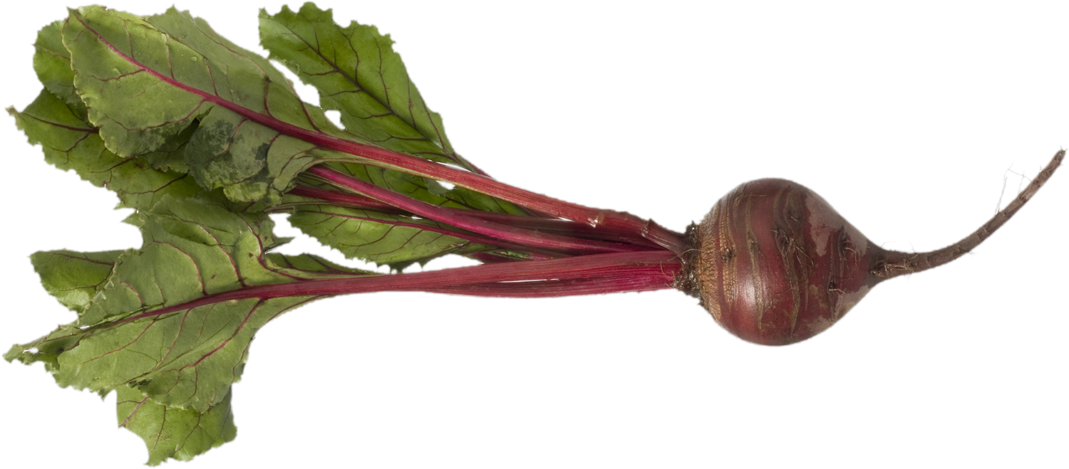 Beet Root 5 Reasons To Love.jpg