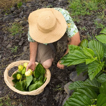Happy To Be Hawaiian Grown
