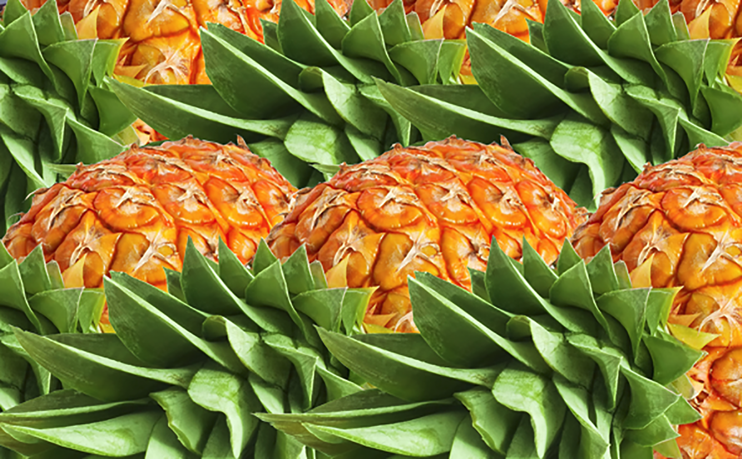 Hawaiian-Ola-Organic-Pineapple.png