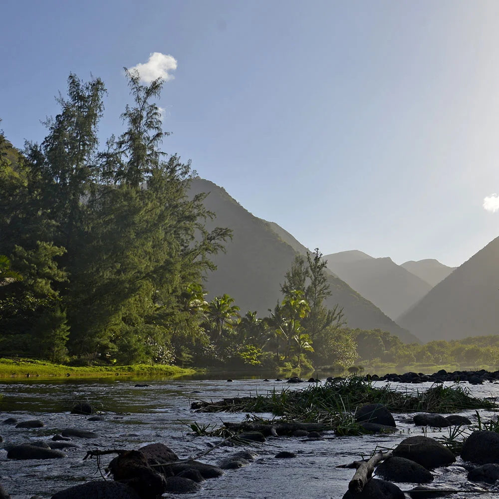 Using Natural Caffeine To Boost Your Energy
