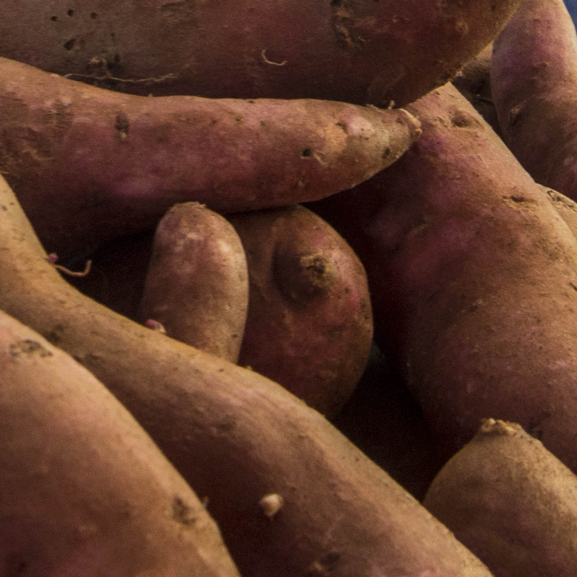 Fall Harvest: 10 Fruits And Vegetables That Boost Immunity