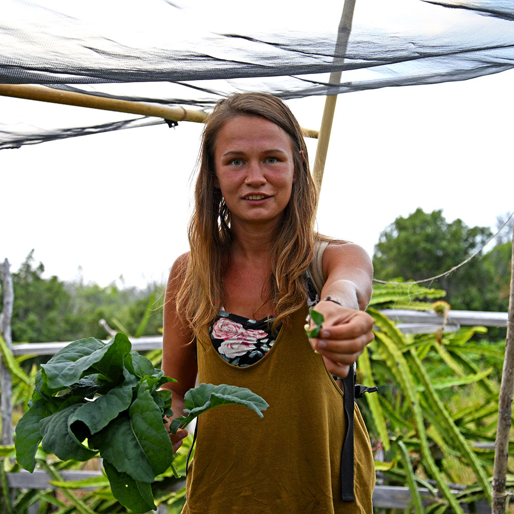 Boost Your Energy Naturally