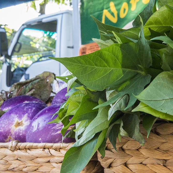 7 Reasons to vote YES on 37!