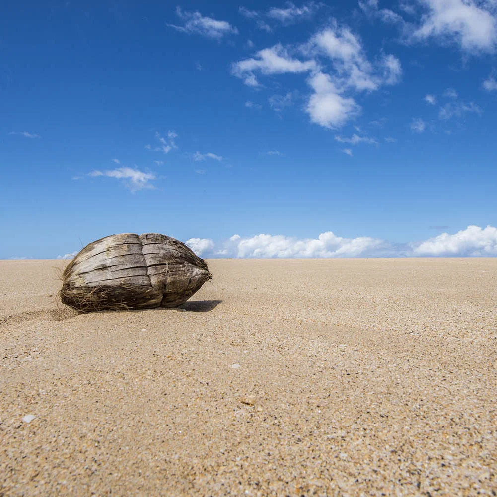 Growing Noni in Volcanic Soil