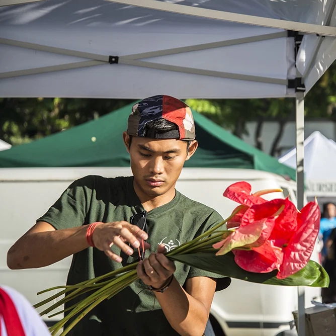 Hawaiian Noni Fruit (Morinda Citrifolia)