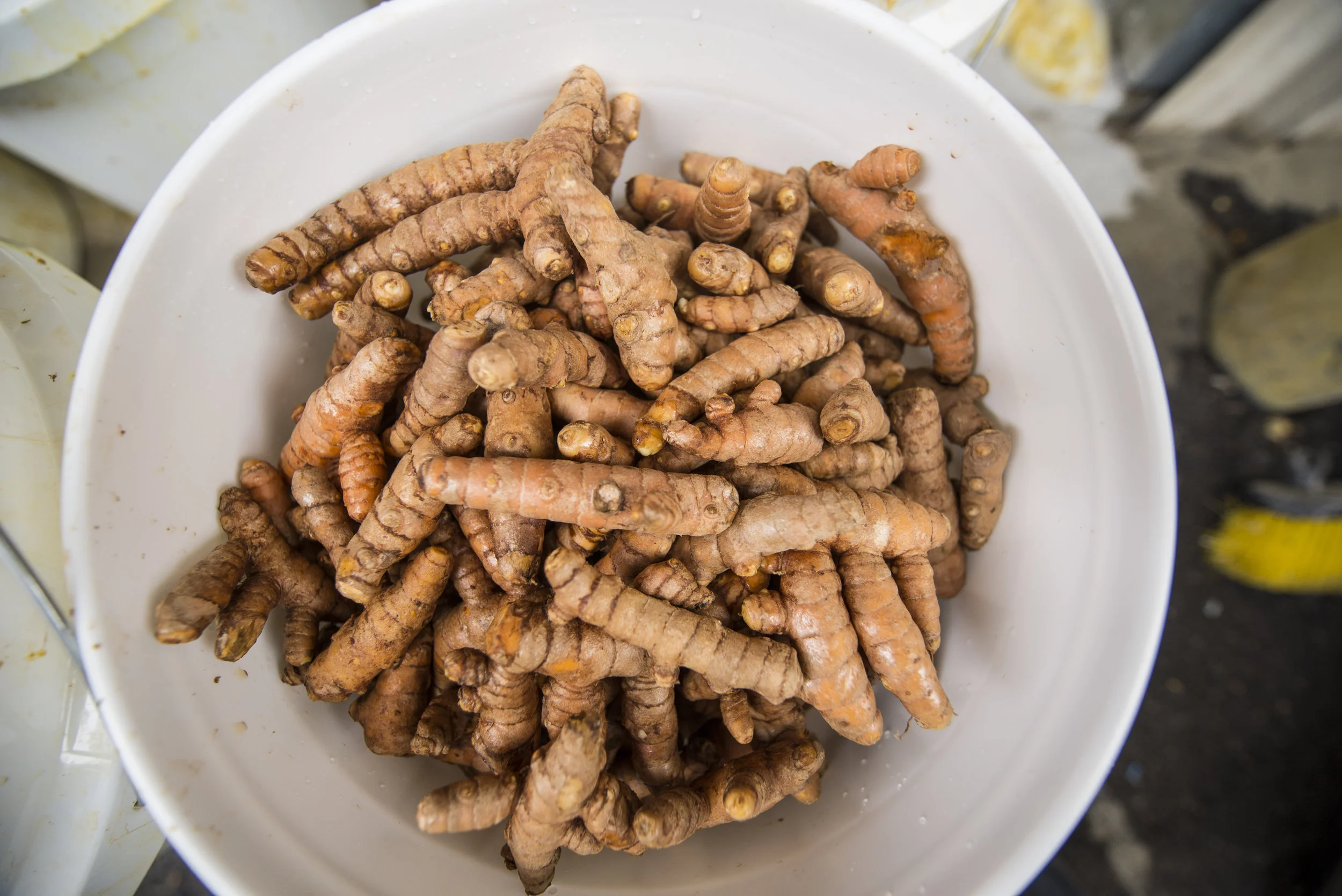 Meet The Farmers: Moloa'a Organica'a