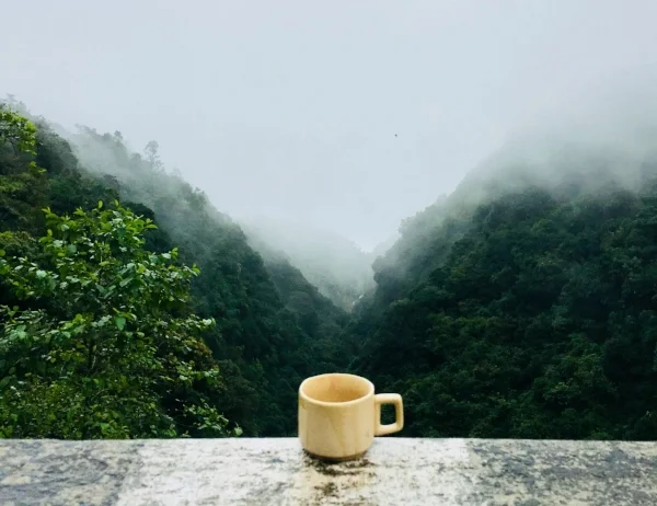 caffeine-coffee-cup-641038.jpg