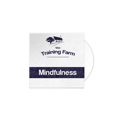 Mindfulness (mp3)