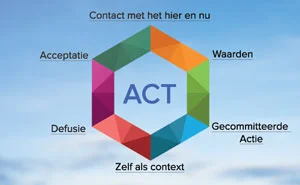 act-hexaflex-training-farm