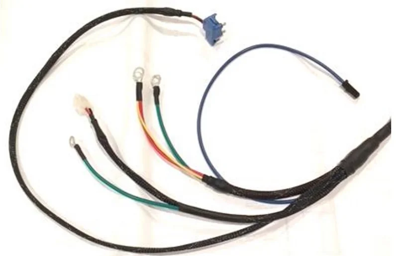 Photo - Chassis Harness Rear.jpg