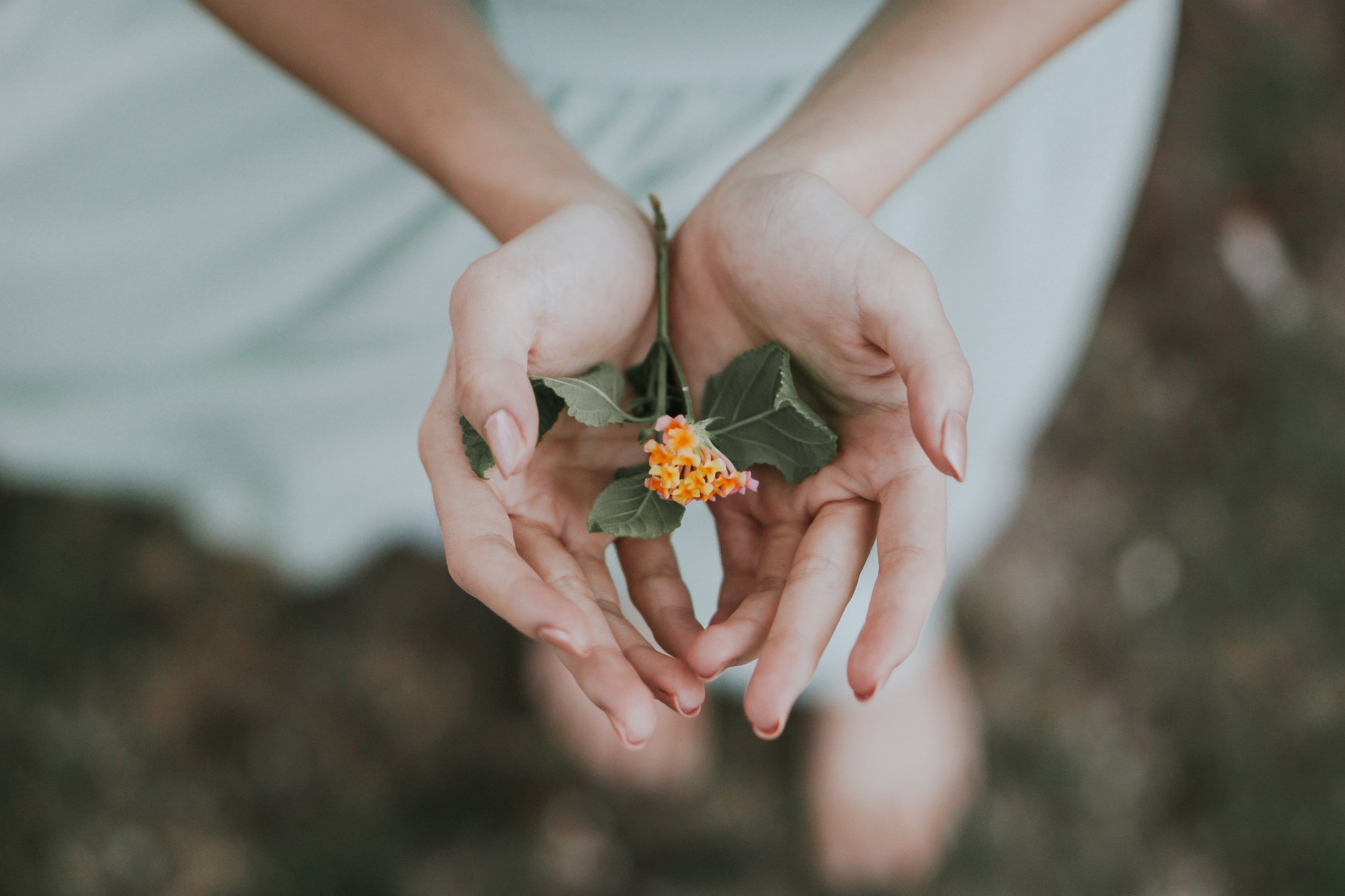 bobbo-sintes-500650-unsplash.jpeg