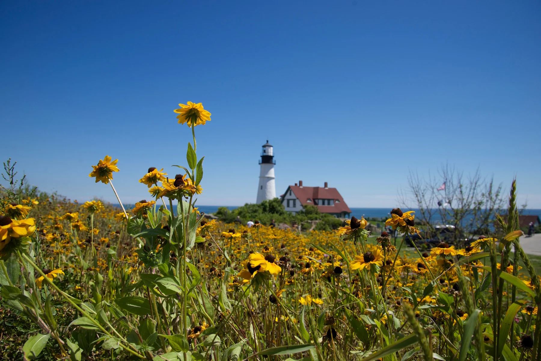Cape Elizabeth, Maine (August 2015)