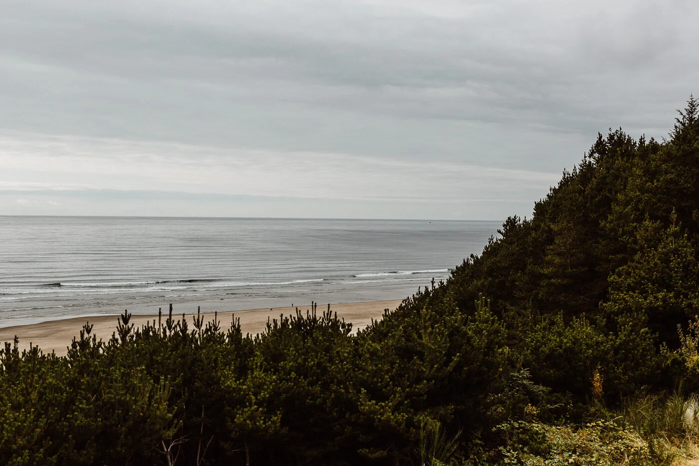_74A6990.jpg