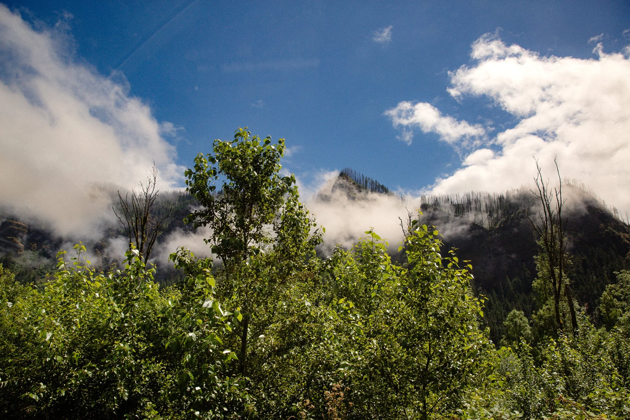 _74A7830.jpg