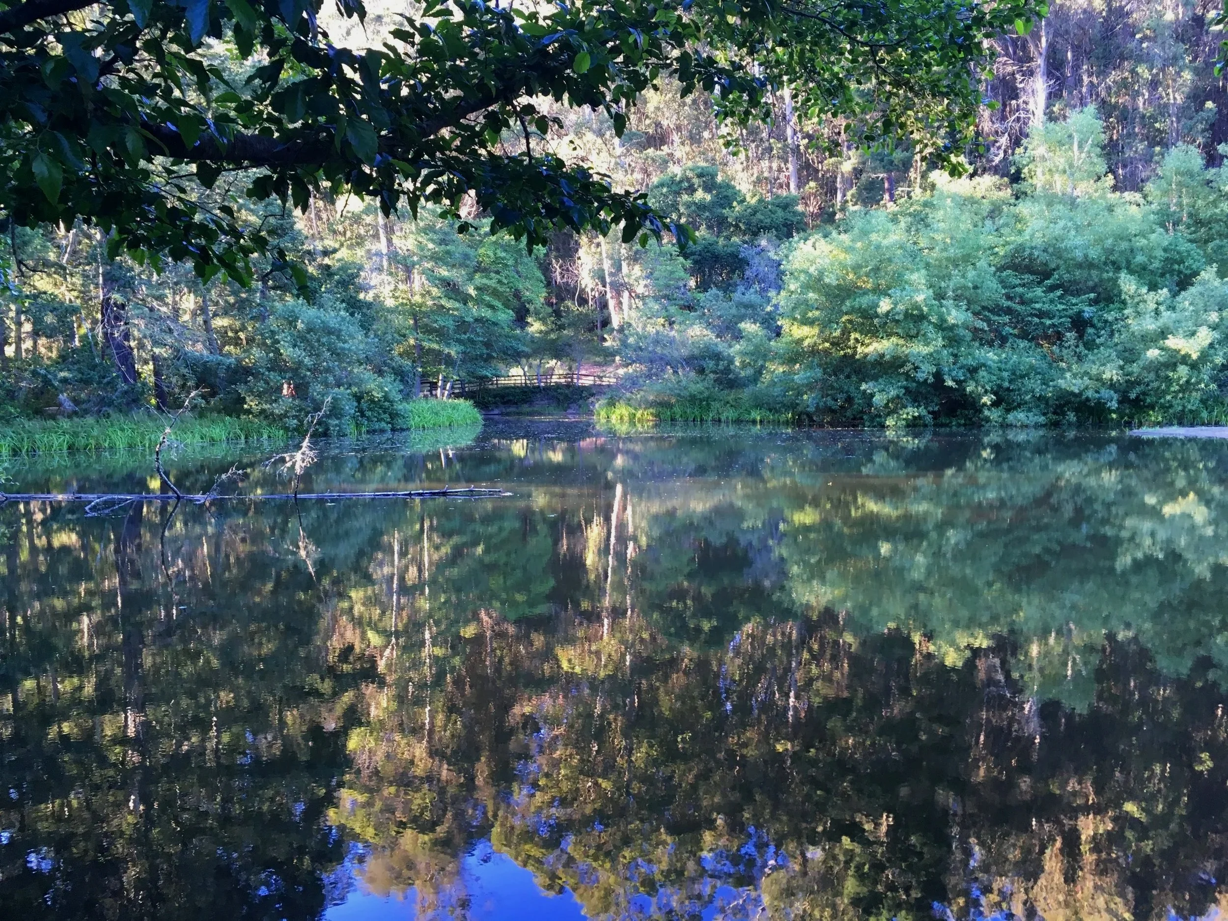 JEWEL LAKE.jpg