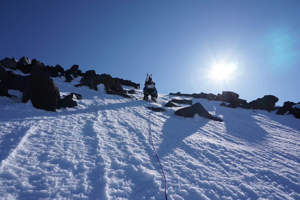DescendingPtarmigan1.jpg
