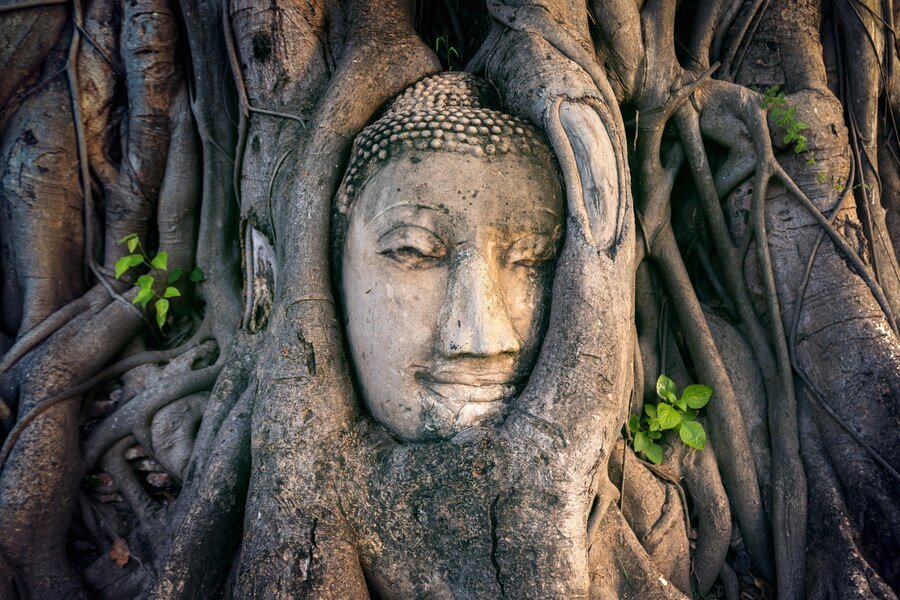 buddha-head-fig-tree-wat-mahathat-ayutthaya-historical-park-thailand_335224-796.jpg