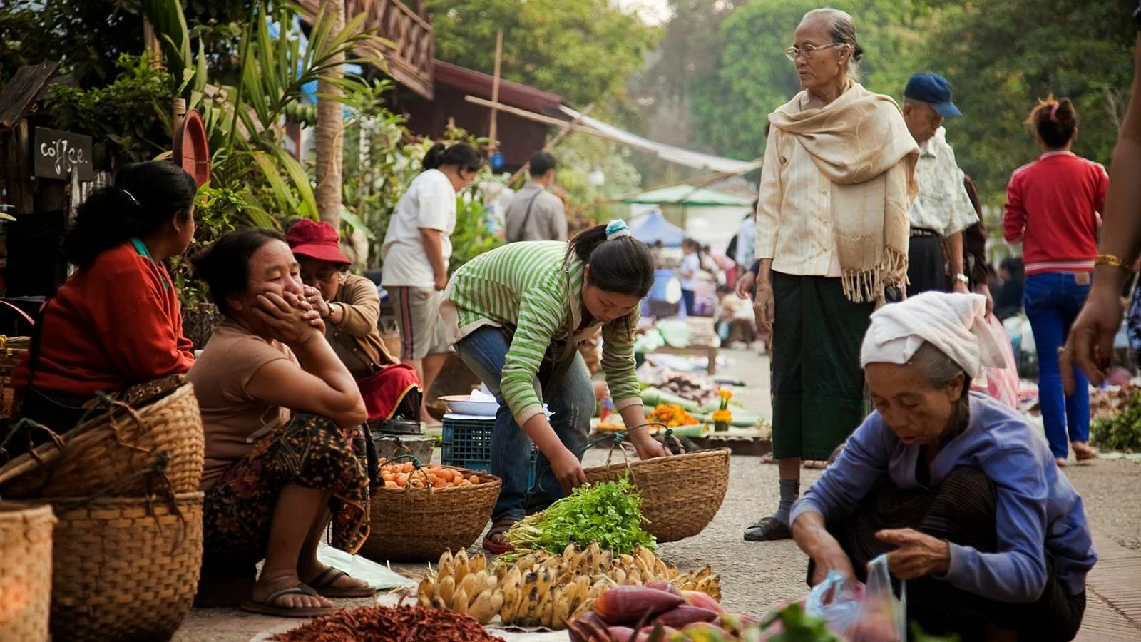 nikki travel tours market .jpg