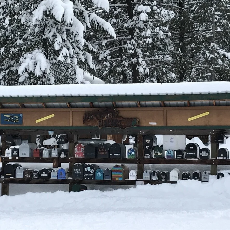 House Sitting: A Different Way to Travel