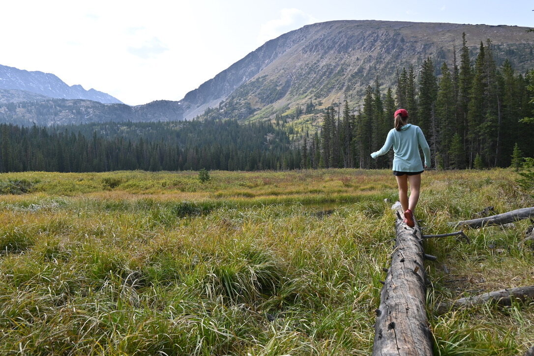 Live in Wonder: Part 2